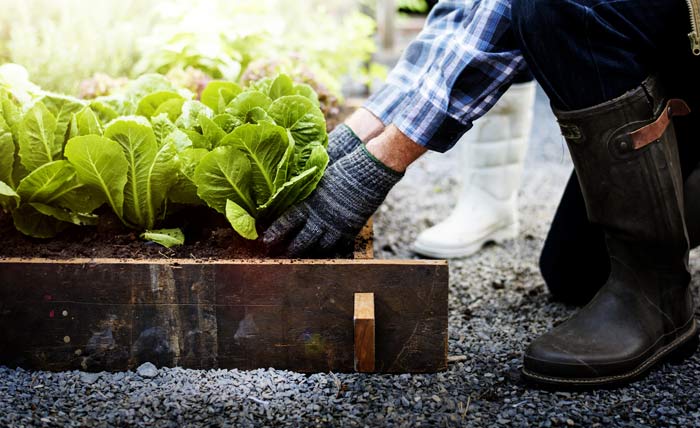 gardening