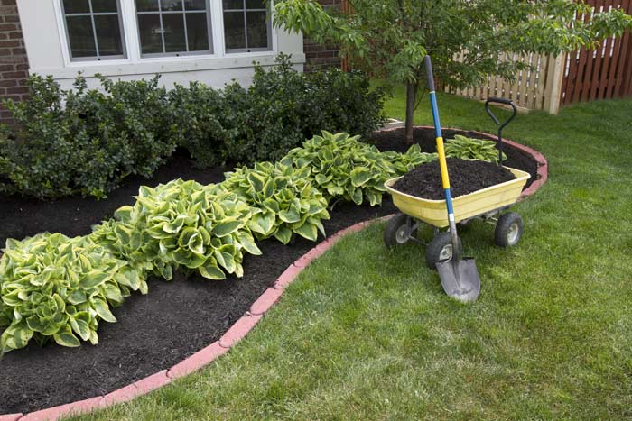 mulching garden