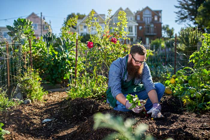 working in the garden